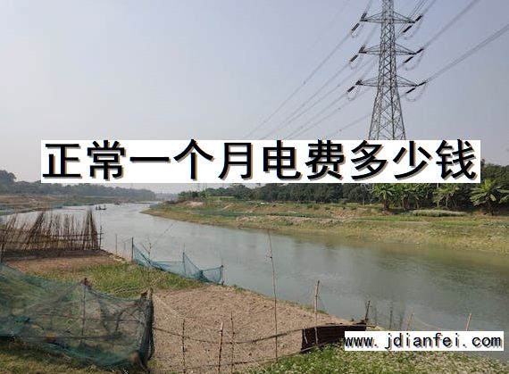 正常一个月电费多少钱
