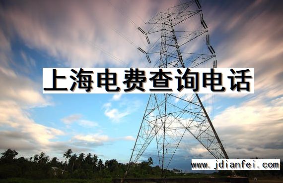 上海电费查询电话
