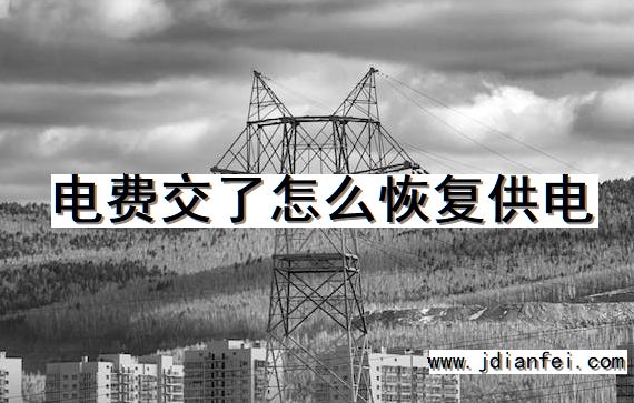电费交了怎么恢复供电