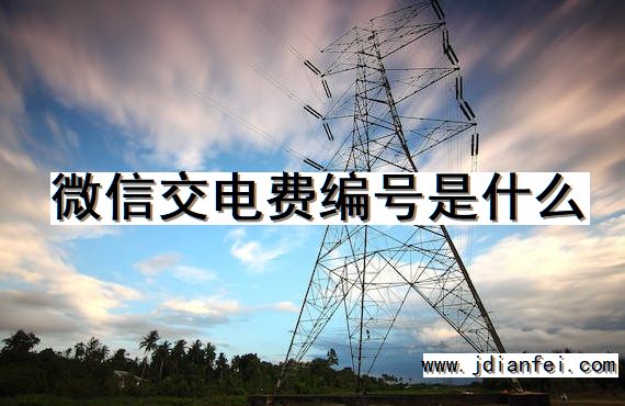 微信交电费编号是什么