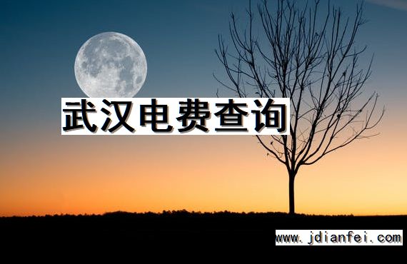 武汉电费查询