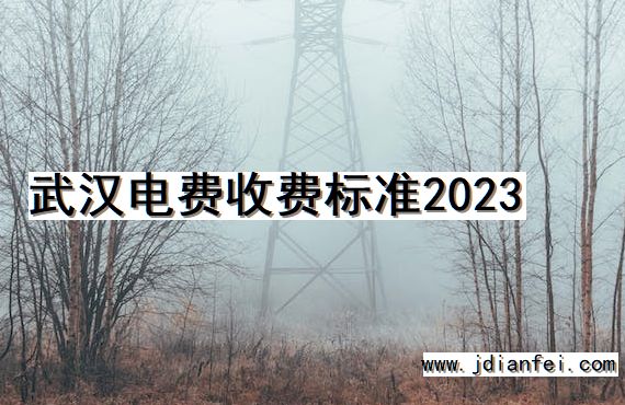 武汉电费收费标准2023