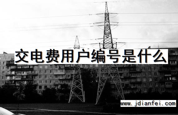 交电费用户编号是什么