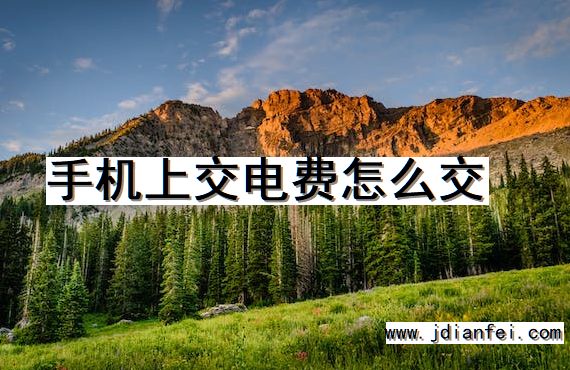 手机上交电费怎么交