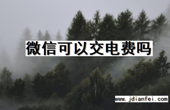 微信可以交电费吗