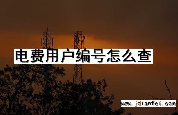 电费用户编号怎么查