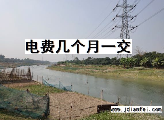电费几个月一交