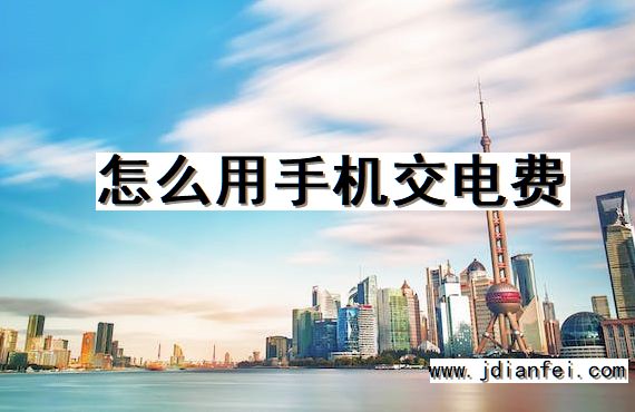 怎么用手机交电费