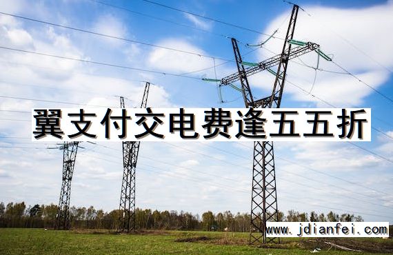 翼支付交电费逢五五折