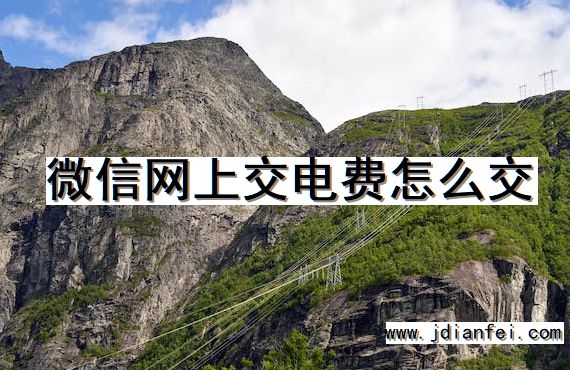 微信网上交电费怎么交