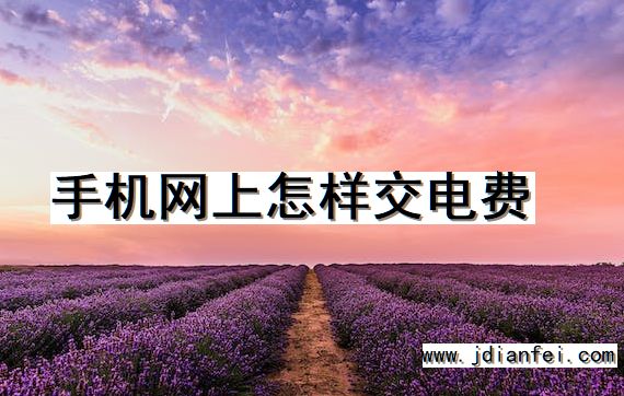 手机网上怎样交电费