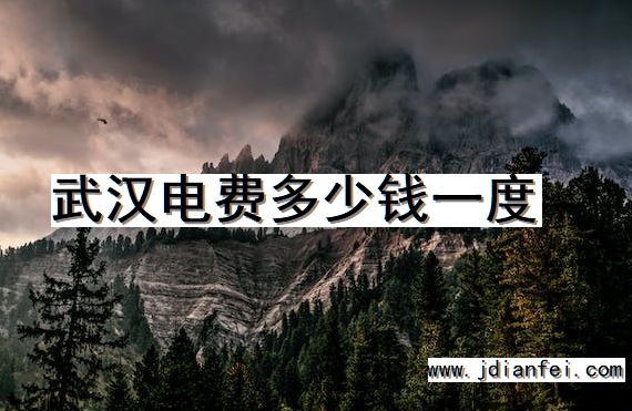 武汉电费多少钱一度