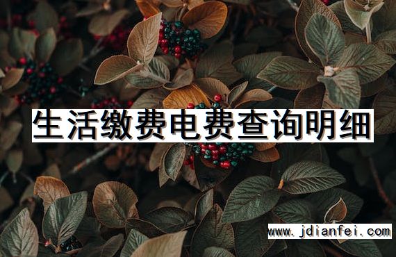生活缴费电费查询明细