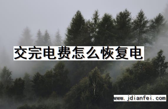 交完电费怎么恢复电