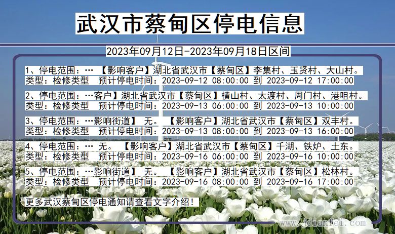 武汉蔡甸停电通知 湖北省武汉蔡甸停电通知