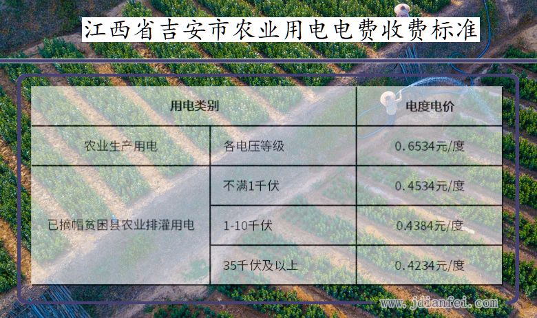 江西省吉安市农业生产多少钱一度