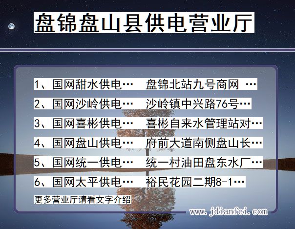 盘锦市盘山县供电公司营业厅 辽宁省盘锦市盘山县供电营业厅