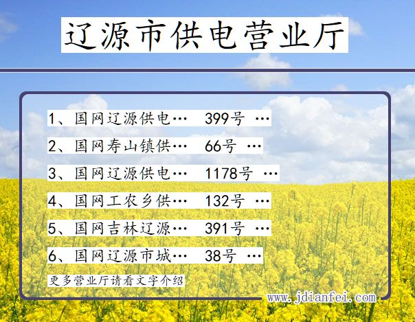 吉林省辽源市供电营业厅