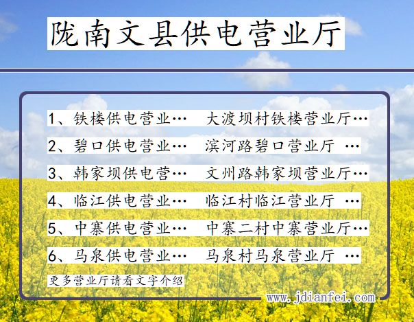 甘肃省陇南市文县供电营业厅