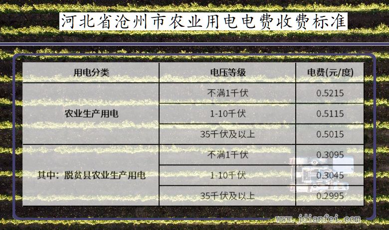 河北省沧州市农业生产多少钱一度