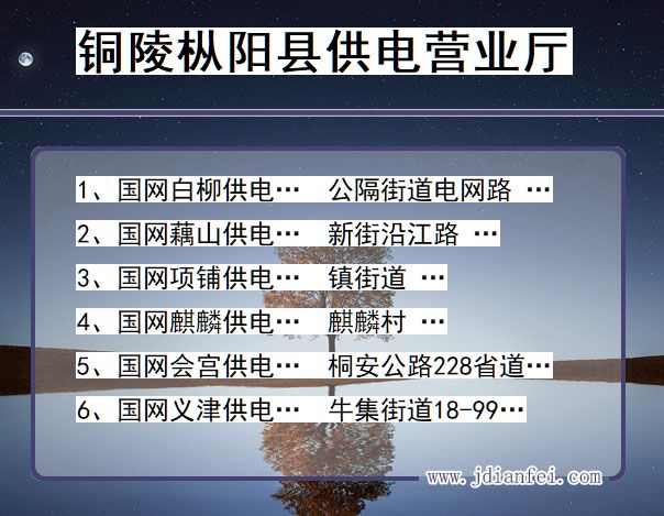 安徽省铜陵市枞阳县供电营业厅