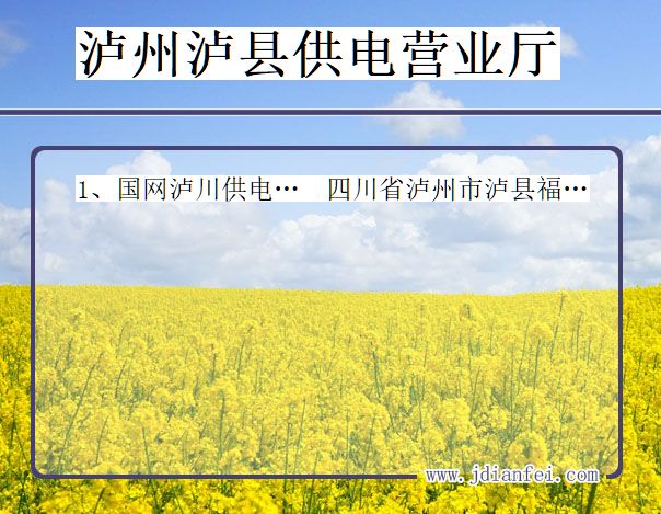 泸州市泸县供电公司营业厅 四川省泸州市泸县供电营业厅