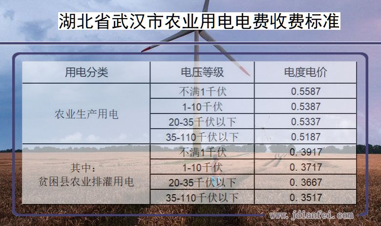 湖北省武汉市农业生产多少钱一度