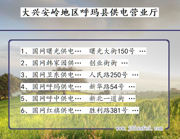 大兴安岭地区呼玛县供电公司营业厅 黑龙江省大兴安岭地区呼玛县供电营业厅