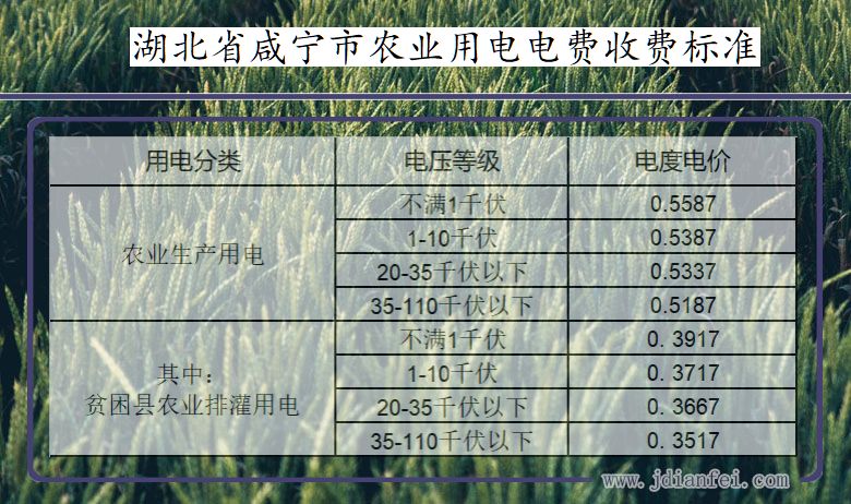 湖北省咸宁市农业生产多少钱一度